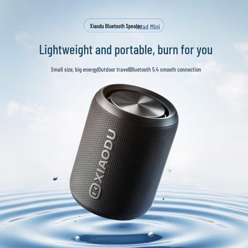 Xiaodu Mini Portable Bluetooth Speaker CN plug (adapter included)