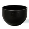 BOTANIZE PLA POT BOWL Authentic Botanize Plastic Pot for Agave Tuberous Bonsai "Black" 11cm, Gracilis, Plants, Succulents, (Black)