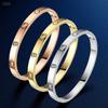 Gypsophila Niche Design Titanium Steel Bracelet Women's Jewelry Jewelry