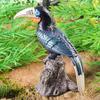 Children's Cognitive Simulation Bird Perch: Garden Craft Ornament for Magpies, Parrots, Lovebirds