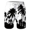 Men's Coconut Tree Graphic Prints Swim Trunks Swim Shorts Board