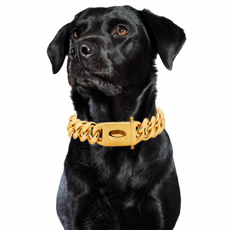 Gold Dog Collar Stainless Steel Metal Pet Choker Silver 19mm Wide Lead for Medium Large Dogs French Bulldog Labrador Retriever