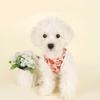 Festives Attires Small Dog Clothes Polyester Dog Costume Dog Social Event Wear for Small Pooches Winter Clothing