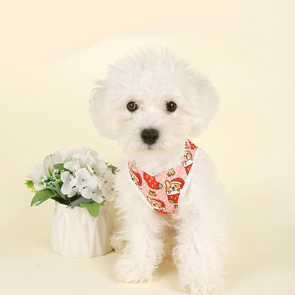 Festives Attires Small Dog Clothes Polyester Dog Costume Dog Social Event Wear for Small Pooches Winter Clothing