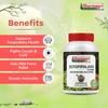 Sharmayu Sitopipaladi Churna | Ayurvedic Remedy for Cough, Cold & Asthma | Boosts Immunity | With Haritaki, Baheda & Amla | 100g
