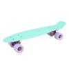 Complete Fish Skateboards for Beginners Kick Skate Board for Boys Girls Kids
