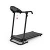 Treadmill for Home Use, 2-in-1 Treadmill for Walking, Running, and Jogging