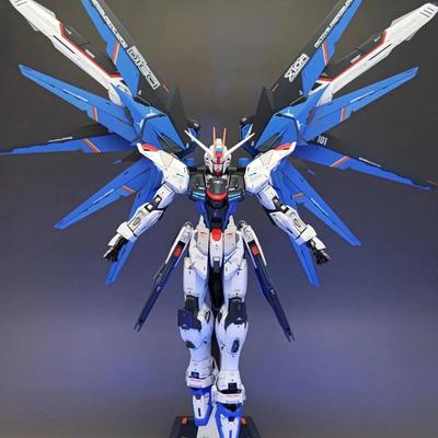 HG Rising Freedom 1/144 Seed FREEDOM Cu Autocolant pe Bază de Apă Suport Ansamblare Dublă Mască Figurină Figurine de Acțiune Zburătoare Freedom XFS