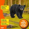 Schleich Wildlife American Black Bear Figure 14869 Realistic Design Educational Toy