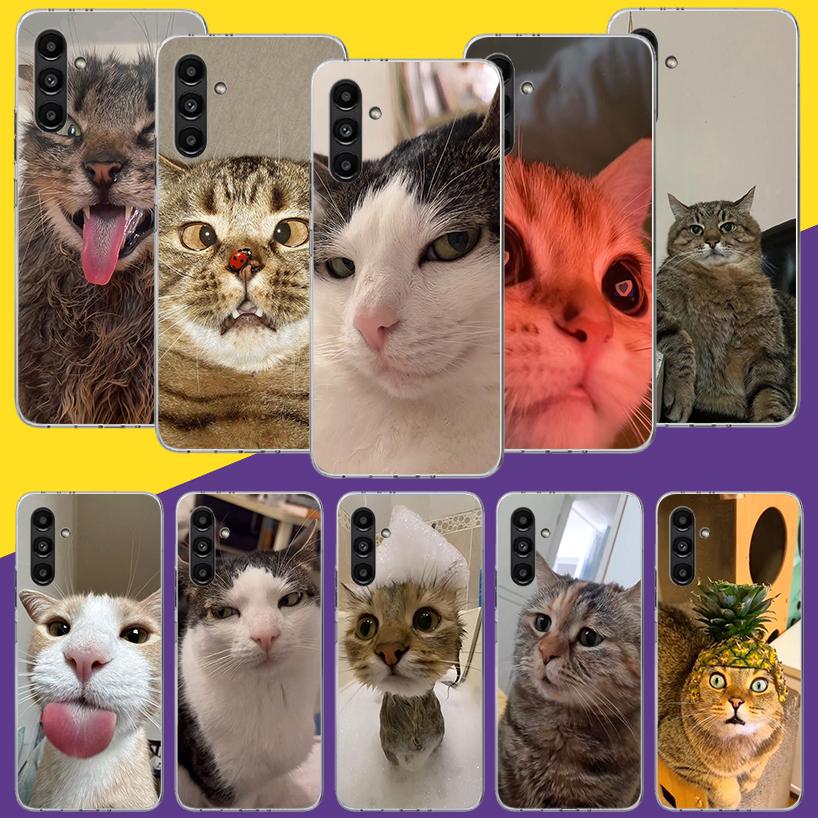 Pet Cat Funny Memes Phone Case For Samsung Galaxy A16 A14 A15 A13 A56 A54 A55 A53 A26 A24 A25 A23 A36 A34 A35 A33 A05S A04S A03S