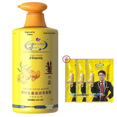 Qinye P101 Ingwer Feuchtigkeitsspendendes Shampoo