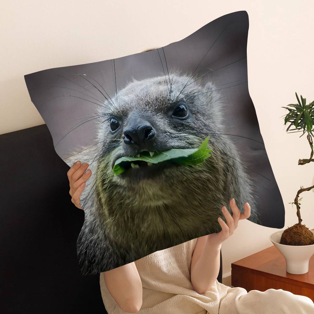Rock Hyrax Animal Cushion Cover Pillow Cover Decor Pillowcase Printed Cushion Case for Couch
