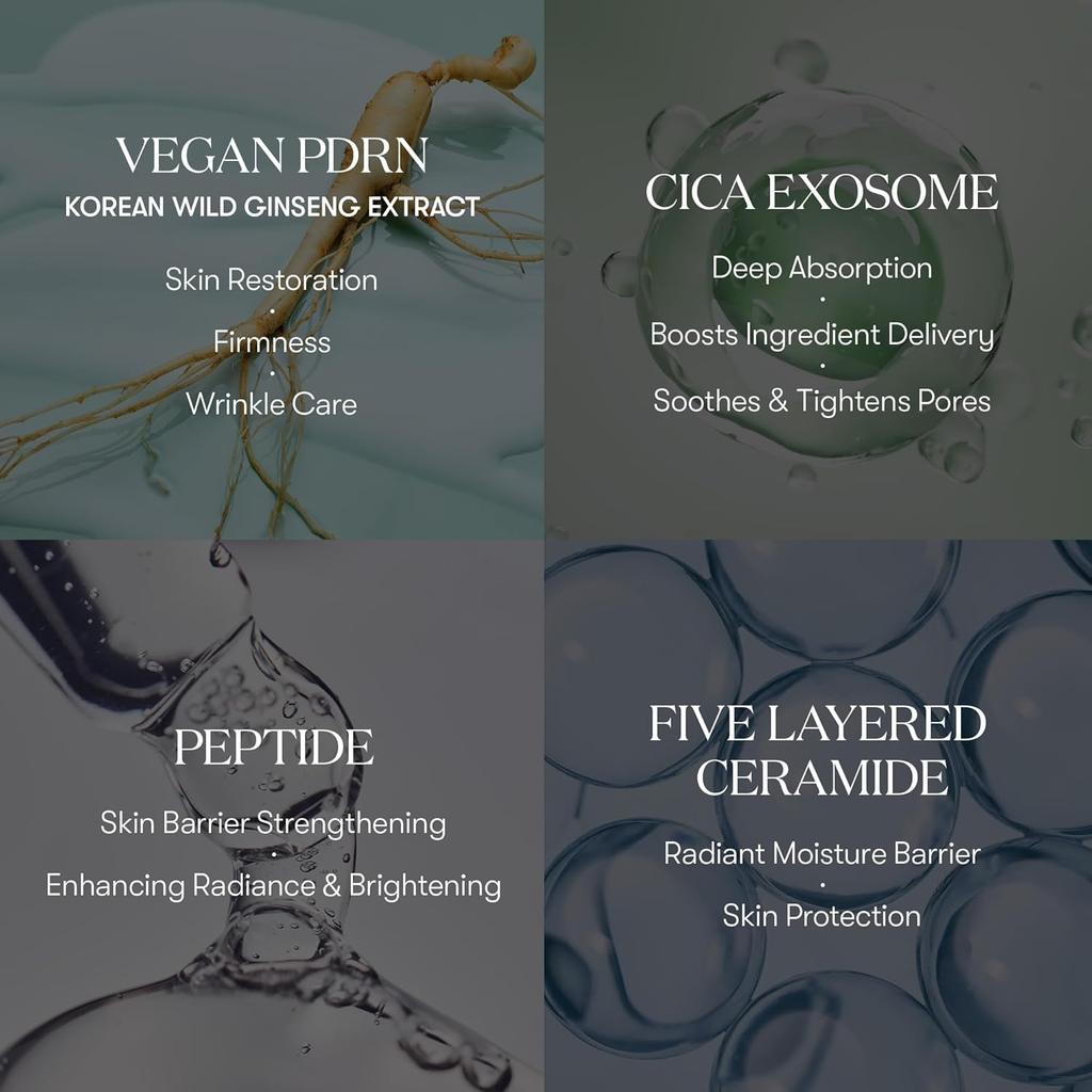 VT COSMÉTIQUES PDRN Cica Exosome Ampoule 30ml, Sérum Fermeté avec Peptide & Céramide pour Anti-Âge