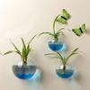 Wall Mounted Hydroponic Vase Betta Fish Tank Creative Acrylic Planter For Home Office Wall Decoration Space Saving Tools
