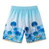 Beach Pants Men'S Quick-Drying Can Be Launched Loose Large-Size Swimming Trunks Seaside Vacation Five-Point Swimming Shorts Soaking In Hot Springs