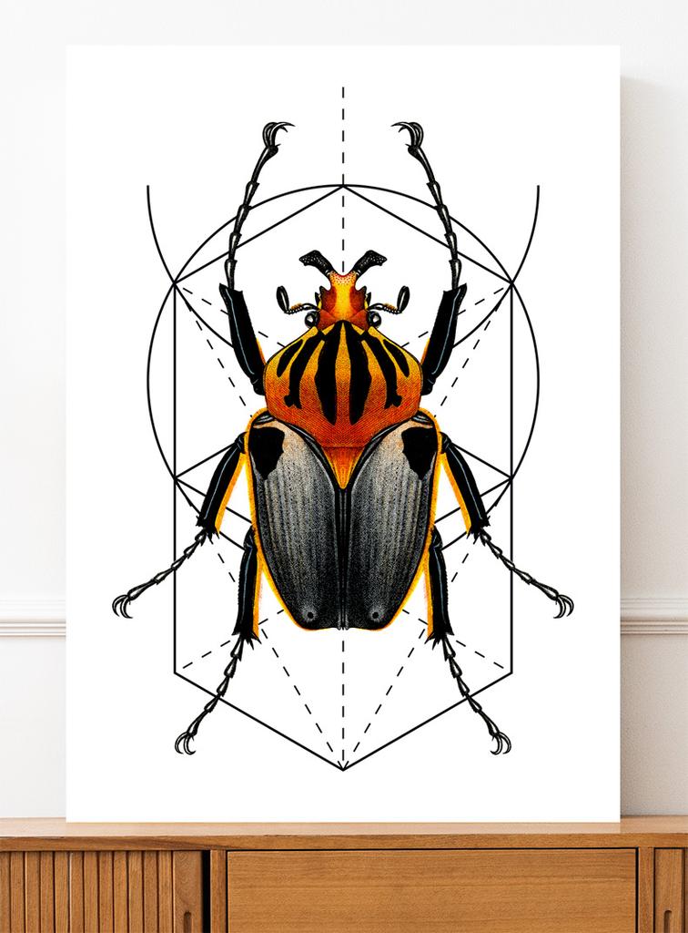 Poster Worm Insect Geometry