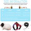 4 Pieces Ferret Harness and Leash Set Ferret Leash Small Pet with Cute Bowknot and Safe Bell Decor Chest Strap Harness for Outdoor Walking Rabbit