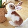 Simulation Rabbit Plush Toy Cute Rabbit Doll Little Black Rabbit Doll Girl Heart Doll Small Zodiac Rabbit Girl