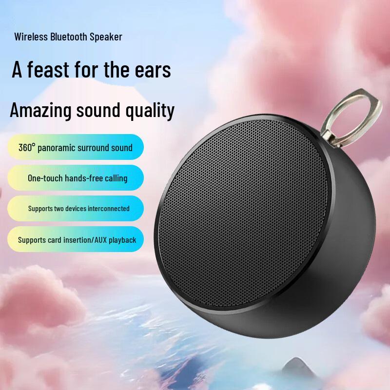 BS02 High-Volume Portable Bluetooth Speaker with Subwoofer for Indoor & Outdoor Use