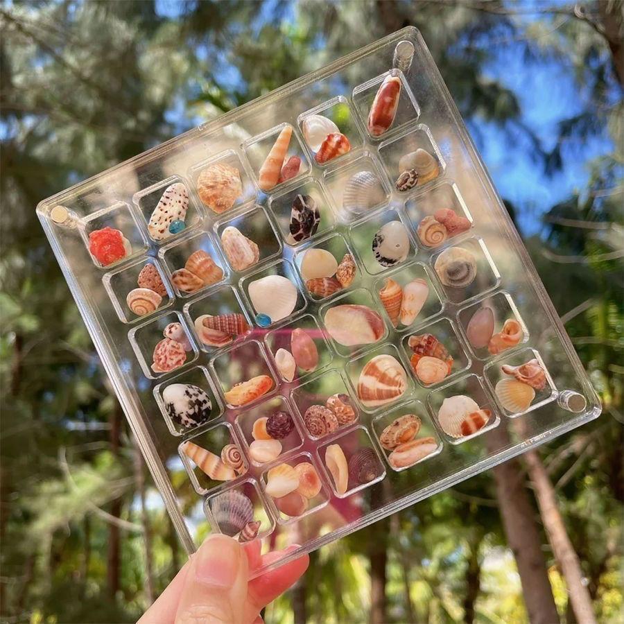 Natural Mini Conch, Shell Starfish, High Transparency Acrylic Storage Box, Material Box, Micro Shell Sand Specimen, Seaside Gift