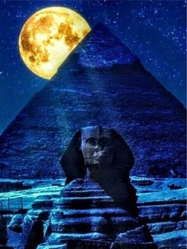 

Алмазная картина Луна Полная вышивка квадратная алмазная вышивка дерево бисерная мозаика морской пейзаж 5D DIY Искусство Декор стены Full Round 20x30CM