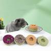 Flowers Flavored Chinchillas Snack Food Cookie Hamster Treats Rabbit Chew Toys Timothy Hay Cakes