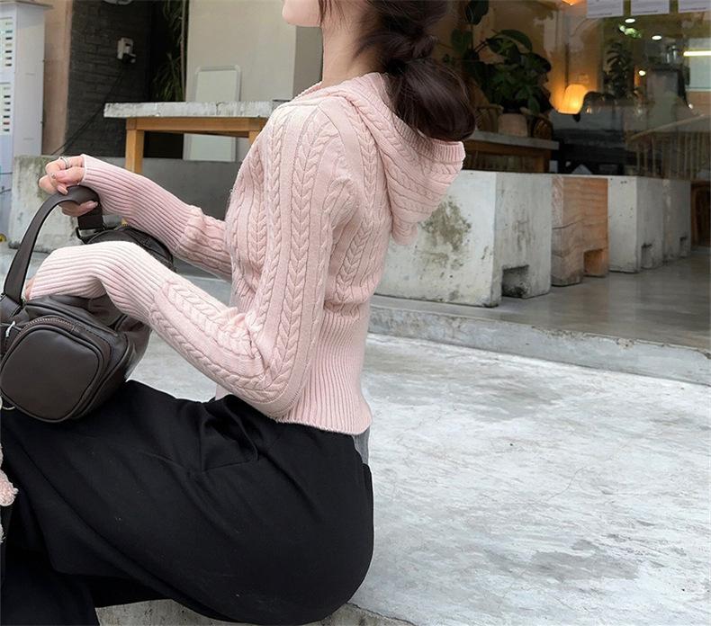 Short Twist Hooded Zipper Knitted Cardigan Women's Slim-fit Sweater Jacket