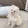 Pet Spring and Autumn Lace Dress Pet Small Dog Teddy Lace Vest Top Cat Thin Dog Dresses for Small Dogs Puppy Clothes