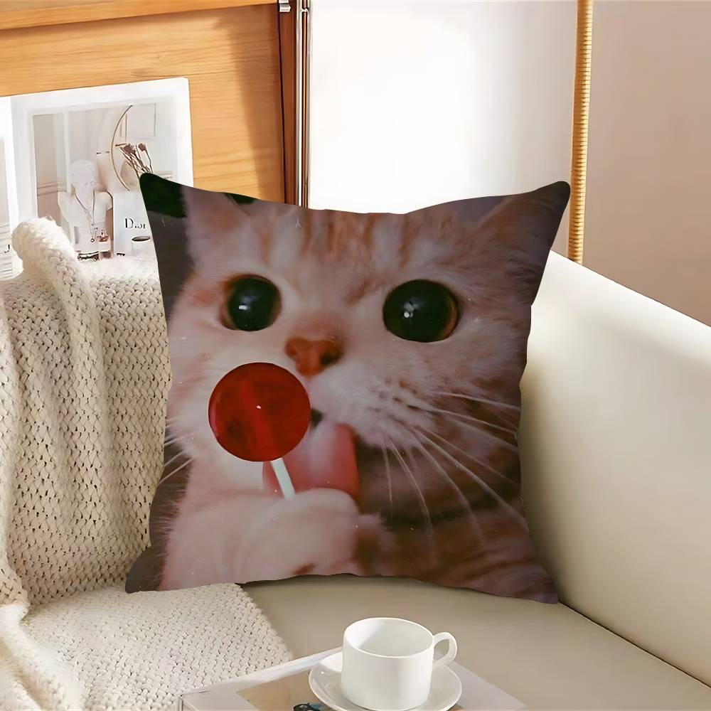 Funny Cat Pillow Cover For Bedroom Room And Living Room Sofa Decorative Cushion Cover