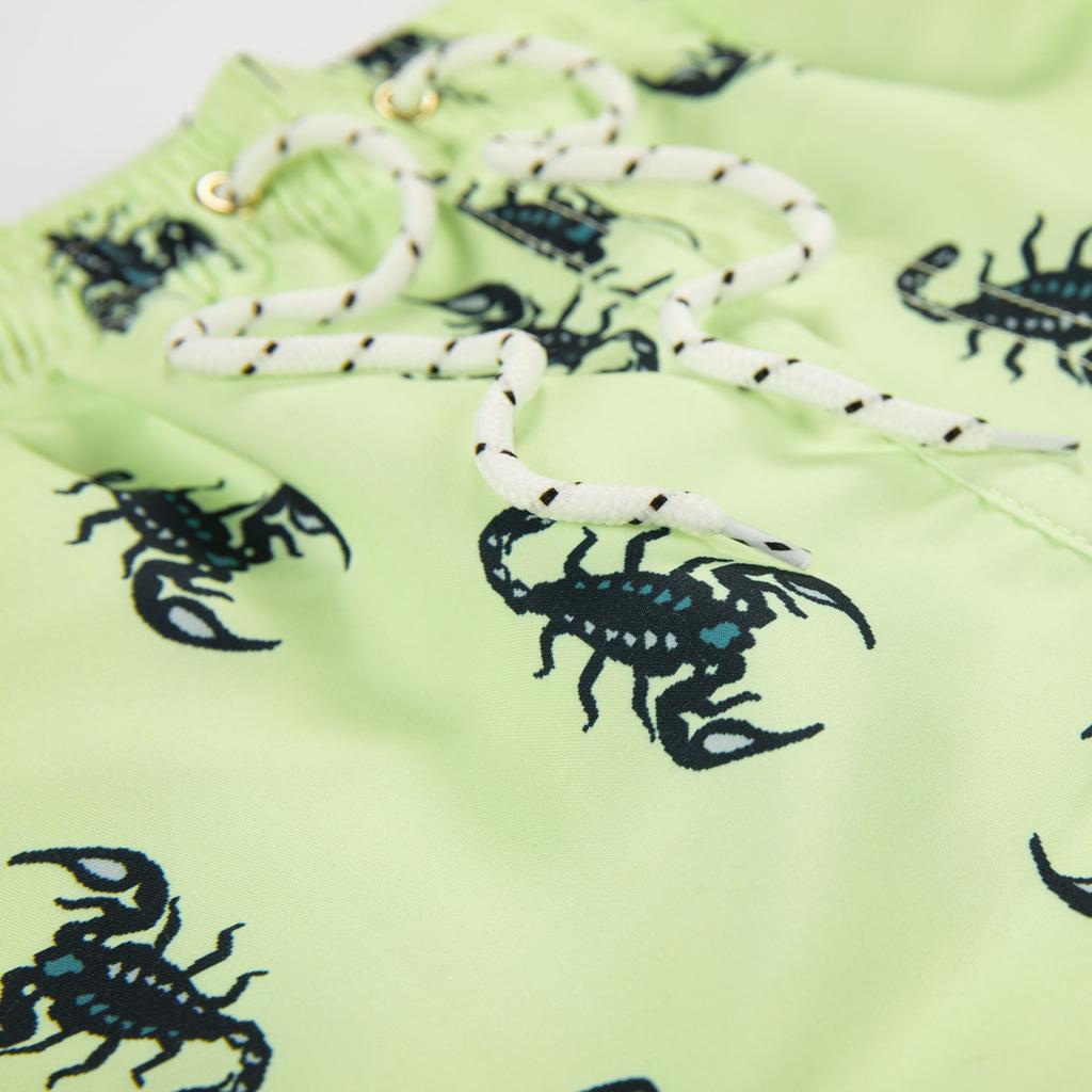 Mens Swim Trunks Quick Dry Swim Shorts With Mesh  Funny Swimwear Bathing Suit