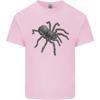 A Tarantula Spider Unisexs Light Cotton TShirt