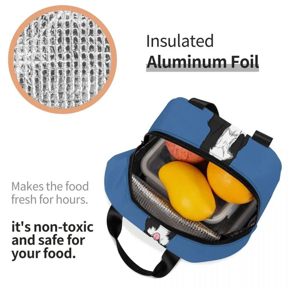 Border Collie Insulated Lunch Bag for Women Office Cooler Thermal Food Box Tote Leakproof Lunch Boxes Container