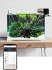 Ilonda Wifi Fish Feeder Organ Smart Control Aquarium Tank Automatic Feeding Device Timing Fishing Equipment Accessories Carp