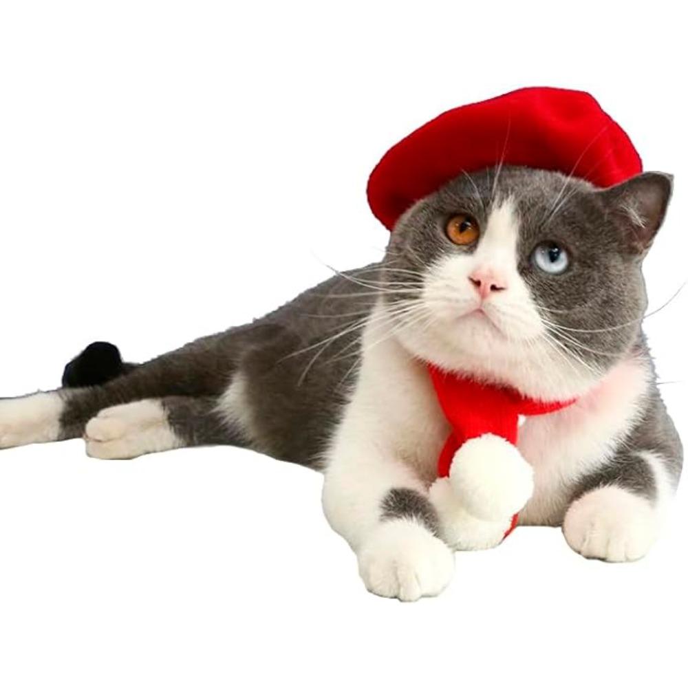 Hunde Baskenmützen Katzenhüte Mode Vier Jahreszeiten Lustig Wolle Winter Haustierhut Mini Monochrom Katzen Baskenmütze Niedliches Haustier Lässiges Reiseoutfit