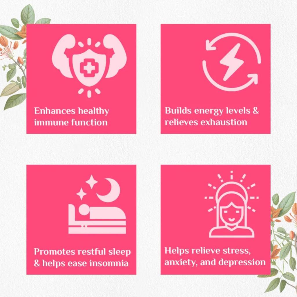 Organic India Ashwagandha Capsules 180 Caps Natural Vitality Support Veg Supplement for Daily Wellness and Energy