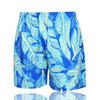 Alliance Envoy Men's Printed Loose Swim Trunks