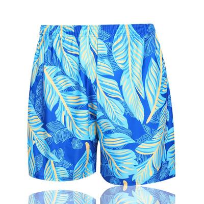 Alliance Envoy Men's Printed Loose Swim Trunks