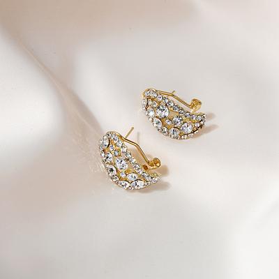 Elegant Zirconia Hollow Earrings High-End Feel Sensible Niche Design Full Diamond Ear Decorations For Girls Women
