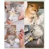 Pet Feeding Syringe with Special Nipple for Cats & Dogs