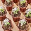 5/10/15/20Pcs Plastic Nursery  Starting Pots Flower Plant Container
