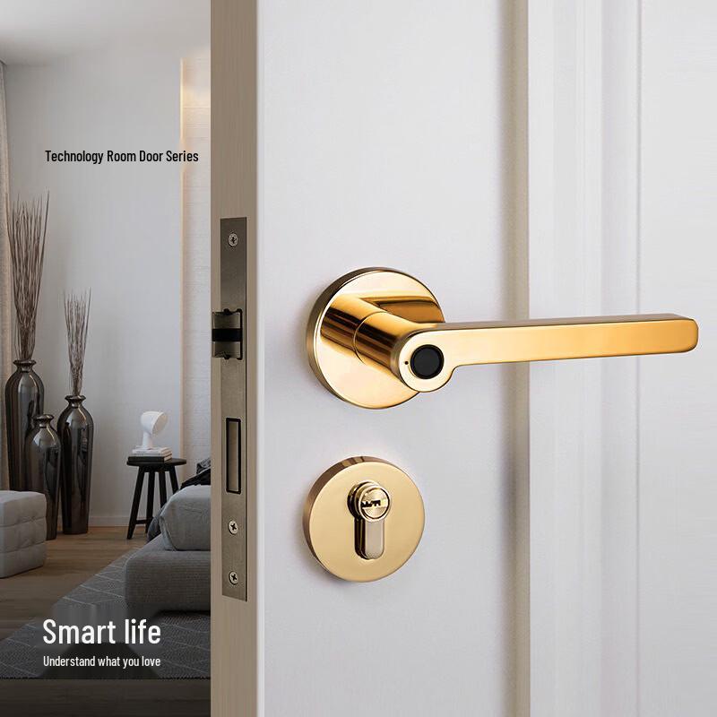 Smart Fingerprint Door Knob Lock