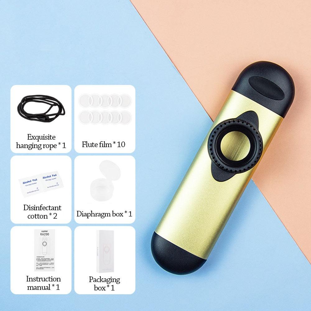 Lustige Musikinstrumente Leicht zu lernen Musikpfeife Spielzeug Kazoo Flöte Jungen Mädchen