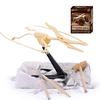 NEW 6 Optional DIY Simulation Archaeological Excavation of Dinosaur Skeleton Fossil Model Educational Toys Gift for Children
