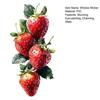 Strawberry Window Cling Watercolor Fruits Static Glass Decals Reusable Waterproof Sticker for Bathroom Kitchen Home Glass Window