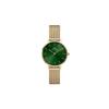 [Official Shop/2-Year Warranty/Authentic Import] Daniel Wellington DW Women's Petite Emerald 28mm Watch, Stylish Designer Watch In Gold and Green, Per