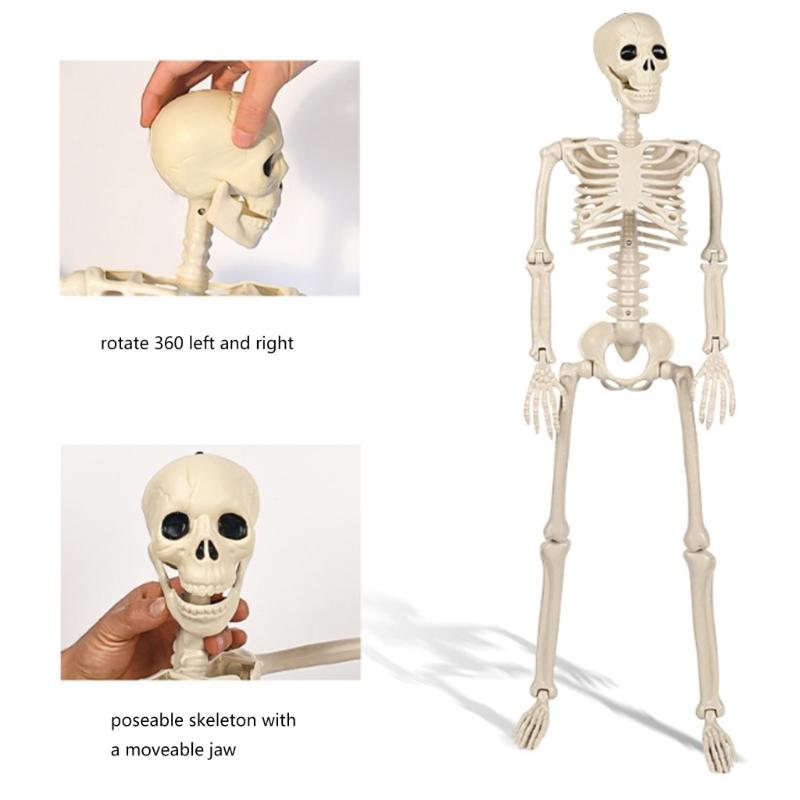 Lebensgroßes Skelett, beweglicher Ganzkörper-Halloween-Dekoration mit beweglichen Gelenken für furchterregende Party-Requisiten für Spukhäuser