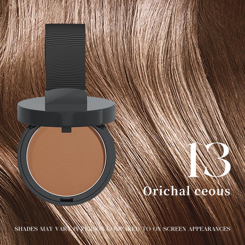 MAYCHEER Hairline Shadow Powder with Puff for Hair Regrowth and Forehead Filling.