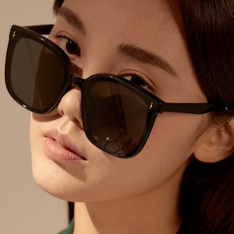 

RECLOW RECLOW FB190 BIG SIZE Sunglasses black