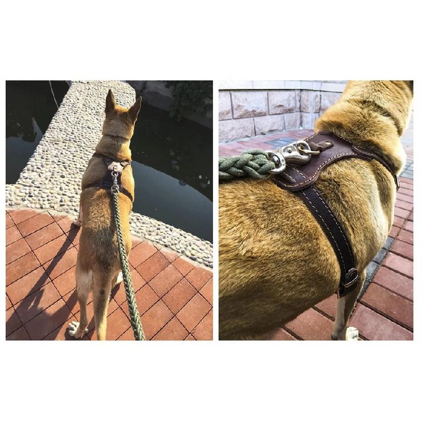Pet Products Genuine Leather Dog Vest Harness For Medium Large Dog Pets Professional Dog Vest Collar Hand Chest Straps