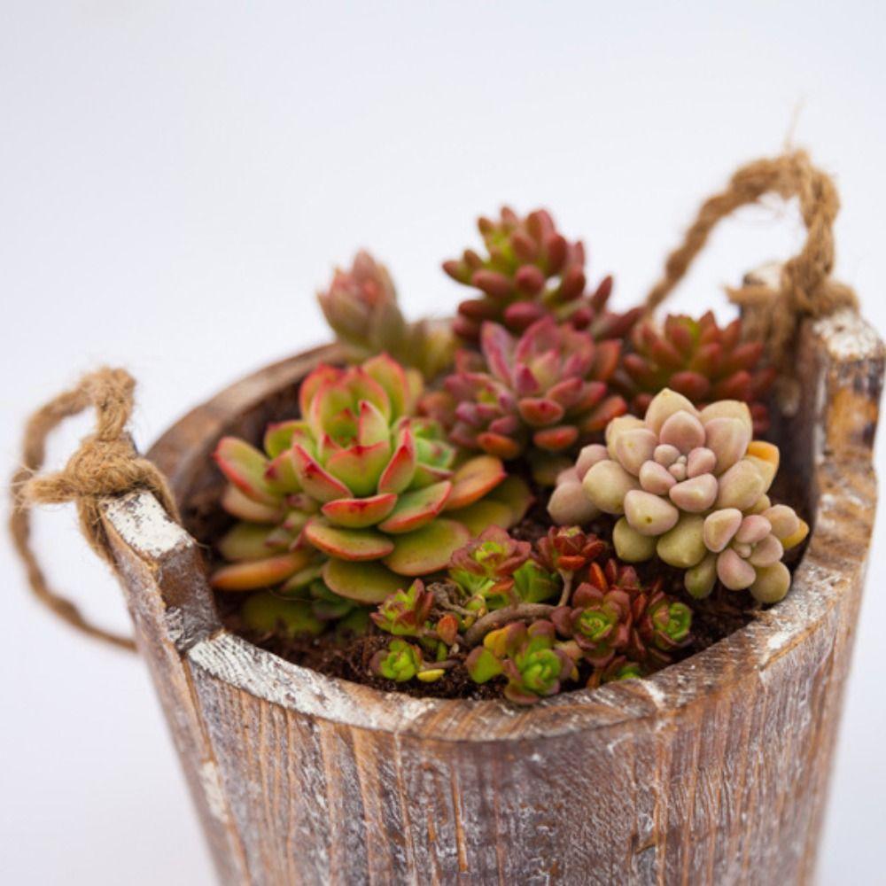 Desktop Ornament Wooden Train Flowerpot Cartoon Vintage Flower Vase Breathable Handmade Plant Pot Succulent